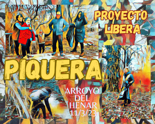 Proyecto Libera
